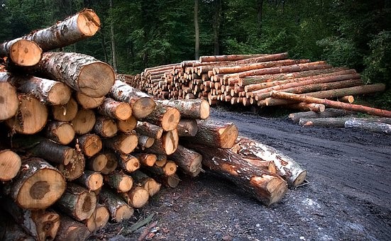WIFM - Timber Shortages